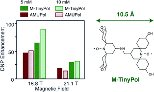Graphical abstract: TinyPols: a family of water-soluble binitroxides tailored for dynamic nuclear polarization enhanced NMR spectroscopy at 18.8 and 21.1 T