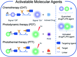 Graphical abstract: Activatable molecular agents for cancer theranostics