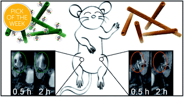 Graphical abstract: Supramolecular and biomacromolecular enhancement of metal-free magnetic resonance imaging contrast agents