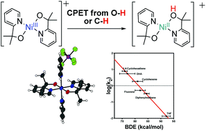 Graphical abstract: Concerted proton-electron transfer oxidation of phenols and hydrocarbons by a high-valent nickel complex