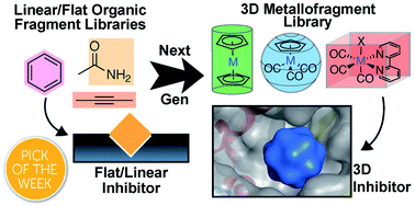 Graphical abstract: Expanding medicinal chemistry into 3D space: metallofragments as 3D scaffolds for fragment-based drug discovery