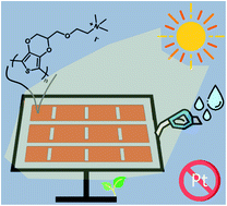 Graphical abstract: A water-based and metal-free dye solar cell exceeding 7% efficiency using a cationic poly(3,4-ethylenedioxythiophene) derivative