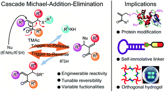 Graphical abstract: A programmable chemical switch based on triggerable Michael acceptors