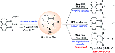 Graphical abstract: Diazaphosphinanes as hydride, hydrogen atom, proton or electron donors under transition-metal-free conditions: thermodynamics, kinetics, and synthetic applications