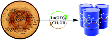 Graphical abstract: Selective catalytic transformation of lignin with guaiacol as the only liquid product