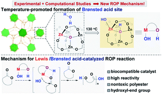 Graphical abstract: The crucial roles of guest water in a biocompatible coordination network in the catalytic ring-opening polymerization of cyclic esters: a new mechanistic perspective