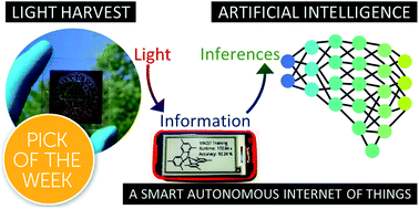 Graphical abstract: Dye-sensitized solar cells under ambient light powering machine learning: towards autonomous smart sensors for the internet of things