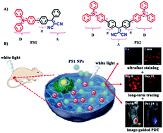 Graphical abstract: Bright red aggregation-induced emission nanoparticles for multifunctional applications in cancer therapy