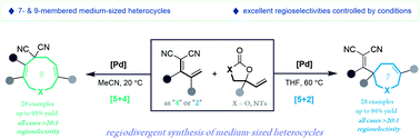 Graphical abstract: Regiodivergent construction of medium-sized heterocycles from vinylethylene carbonates and allylidenemalononitriles