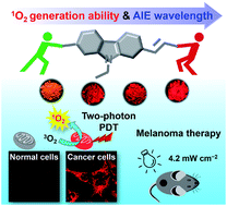Graphical abstract: Highly efficient singlet oxygen generation, two-photon photodynamic therapy and melanoma ablation by rationally designed mitochondria-specific near-infrared AIEgens