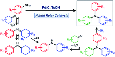 Graphical abstract: Synthesis of unsymmetrically substituted triarylamines via acceptorless dehydrogenative aromatization using a Pd/C and p-toluenesulfonic acid hybrid relay catalyst