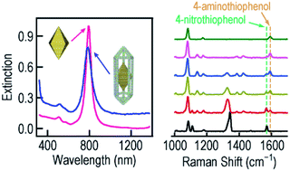 Graphical abstract: Gold nanobipyramid-embedded ultrathin metal nanoframes for in situ monitoring catalytic reactions