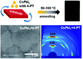 Graphical abstract: Electron-enriched thione enables strong Pb–S interaction for stabilizing high quality CsPbI3 perovskite films with low-temperature processing