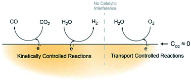 Graphical abstract: Protecting effect of mass transport during electrochemical reduction of oxygenated carbon dioxide feedstocks