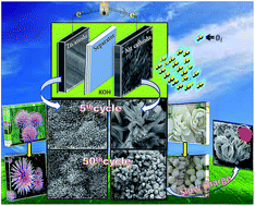 Graphical abstract: Highly nanocrystalline interconnected La0.5Ca0.5CoO3−δ as an efficient bi-functional electrocatalyst for zinc–air batteries with structural and morphological evidence for ZnO mitigation