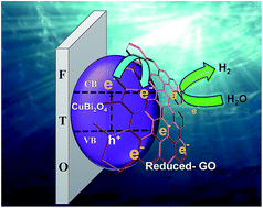 Graphical abstract: Reduced graphene oxide modified CuBi2O4 as an efficient and noble metal free photocathode for superior photoelectrochemical hydrogen production