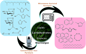 Graphical abstract: Microwave-assisted pyrolysis and analytical fast pyrolysis of macroalgae: product analysis and effect of heating mechanism