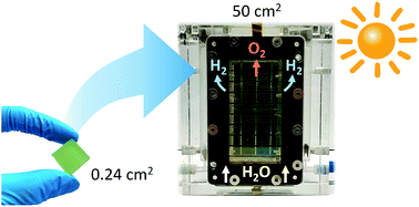 Graphical abstract: Demonstration of a 50 cm2 BiVO4 tandem photoelectrochemical-photovoltaic water splitting device
