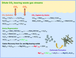 Graphical abstract: Novel aqueous amine looping approach for the direct capture, conversion and storage of CO2 to produce magnesium carbonate