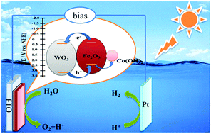 Graphical abstract: A Co(OH)x nanolayer integrated planar WO3/Fe2O3 photoanode for efficient photoelectrochemical water splitting