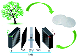 Graphical abstract: Operation of proton exchange membrane (PEM) fuel cells using natural cellulose fiber membranes