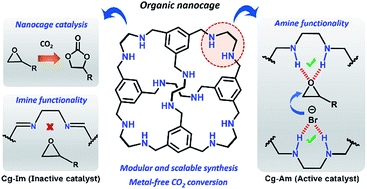 Graphical abstract: Organic nanocages: a promising testbed for catalytic CO2 conversion
