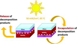 Graphical abstract: Impact of charge transport layers on the photochemical stability of MAPbI3 in thin films and perovskite solar cells