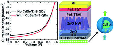 Graphical abstract: Luminescence down-shifting enables UV-stable and efficient ZnO nanowire-based PbS quantum dot solar cells with JSC exceeding 33 mA cm−2