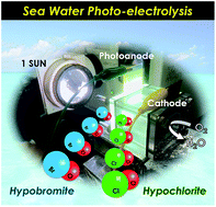Graphical abstract: Solar-light-driven non-bias photoelectrolysis for bleach production from sea water and atmospheric oxygen