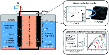 Graphical abstract: Multi-walled carbon nanotube and carbide-derived carbon supported metal phthalocyanines as cathode catalysts for microbial fuel cell applications