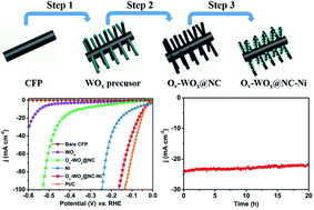 Graphical abstract: Ni loaded on N-doped carbon encapsulated tungsten oxide nanowires as an alkaline-stable electrocatalyst for water reduction