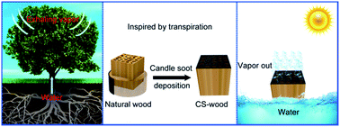Graphical abstract: Candle soot nanoparticle-decorated wood for efficient solar vapor generation
