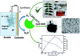 Graphical abstract: Azadirachta indica leaf-extract-assisted synthesis of CoO–NiO mixed metal oxide for application in a microbial fuel cell as a cathode catalyst