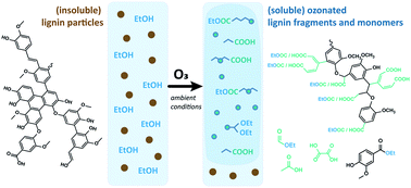 Graphical abstract: Ozone mediated depolymerization and solvolysis of technical lignins under ambient conditions in ethanol