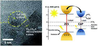 Graphical abstract: Interfacial engineering of a zinc blende/wurtzite homojunction photocatalyst through hybridization with a cobalt phosphide co-catalyst for enhanced visible-light-driven photocatalytic H2 evolution