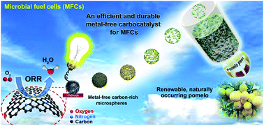 Graphical abstract: Pomelo peel-derived, N-doped biochar microspheres as an efficient and durable metal-free ORR catalyst in microbial fuel cells