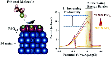 Graphical abstract: Elucidating the unexpected electrocatalytic activity of nanoscale PdO layers on Pd electrocatalysts towards ethanol oxidation in a basic solution
