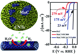 Graphical abstract: MoC based Mott–Schottky electrocatalyst for boosting the hydrogen evolution reaction performance