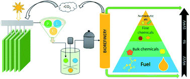 Graphical abstract: Exploration of a novel biorefinery based on sequential hydropyrolysis and anaerobic digestion of algal biofilm: a comprehensive characterization of products for energy and chemical production