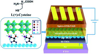 Graphical abstract: Modifying perovskite solar cells with l(+)-cysteine at the interface between mesoporous TiO2 and perovskite