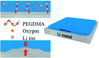 Graphical abstract: Solventless thermal crosslinked polymer protective layer for high stable lithium metal batteries