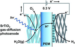 Graphical abstract: Vapor-fed photoelectrolysis of water at 0.3 V using gas-diffusion photoanodes of SrTiO3 layers