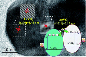 Graphical abstract: The hydrothermal in situ construction of AgVO3/LaVO4 phase junctions for the efficient visible-light-driven disposal of pollutants and photoelectrocatalytic methanol oxidation