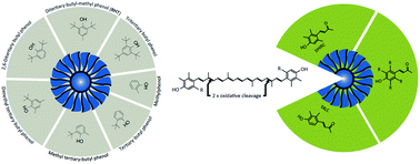 Graphical abstract: Greener aromatic antioxidants for aviation and beyond