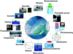 Graphical abstract: Triboelectric nanogenerators for a macro-scale blue energy harvesting and self-powered marine environmental monitoring system
