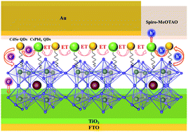 Graphical abstract: Hybrid CdSe/CsPbI3 quantum dots for interface engineering in perovskite solar cells