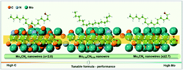 Graphical abstract: Engineering the structural formula of N-doped molybdenum carbide nanowires for the deoxygenation of palmitic acid