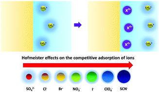 Graphical abstract: In situ study of the competitive adsorption of ions at an organic-aqueous two-phase interface: the essential role of the Hofmeister effect
