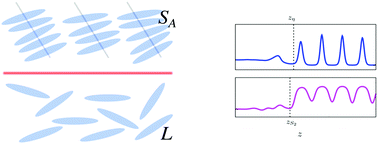 Graphical abstract: Interface structures in ionic liquid crystals