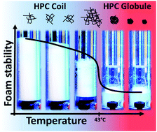 Graphical abstract: Hydroxypropyl cellulose as a green polymer for thermo-responsive aqueous foams